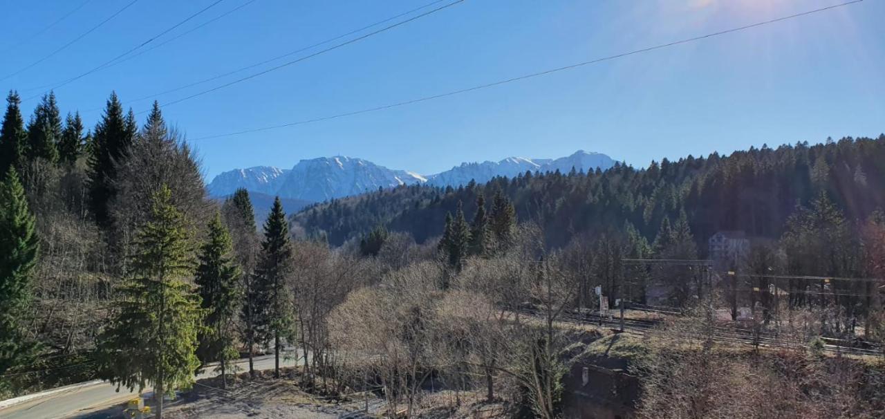 Pensiunea Alpin Predeál Kültér fotó
